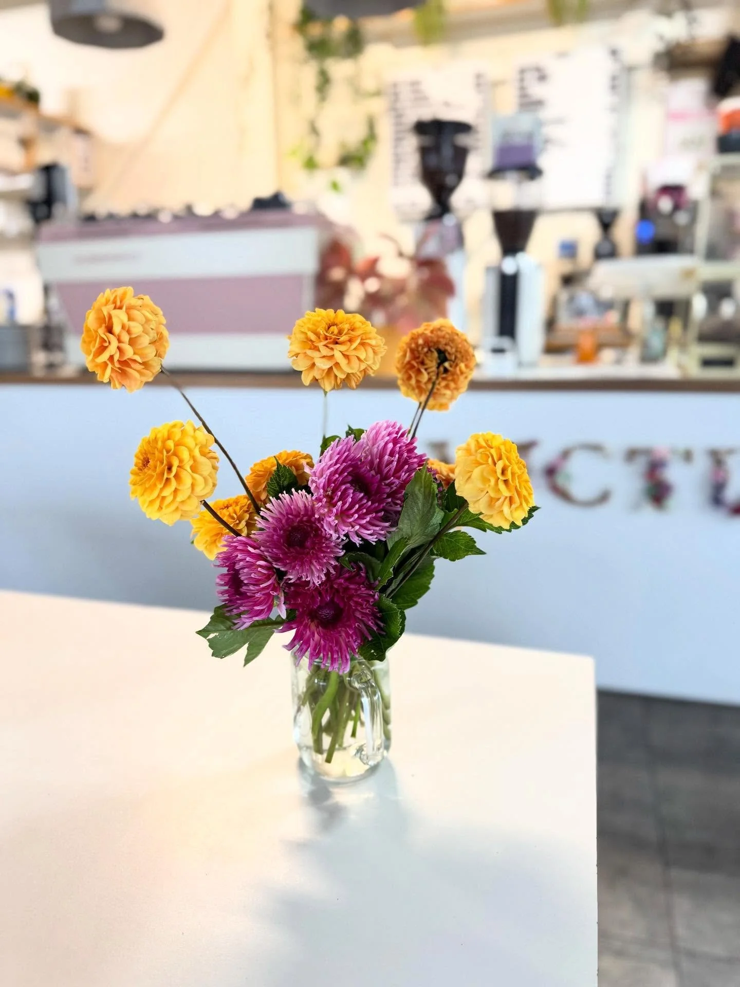 If you&rsquo;re making plans for the two public holidays next week, be sure to pencil in a visit to Victus ☕️
We&rsquo;ll be open for Nelson Anniversary Day (Monday) and Waitangi Day (Friday).
We can&rsquo;t wait to see you! 💛🌸
.
#victus #victusnz 