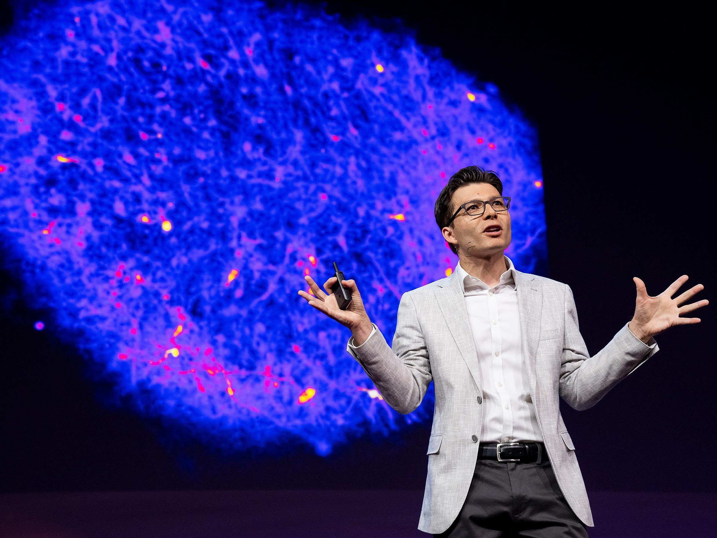 El neurocientífico Sergiu P. Pașca, de la Universidad de Stanford, lidera el equipo que ha desarrollado los ratones xenocorticales y lleva años utilizando organoides humanos para investigar el desarrollo del cerebro y las enfermedades neurológicas.