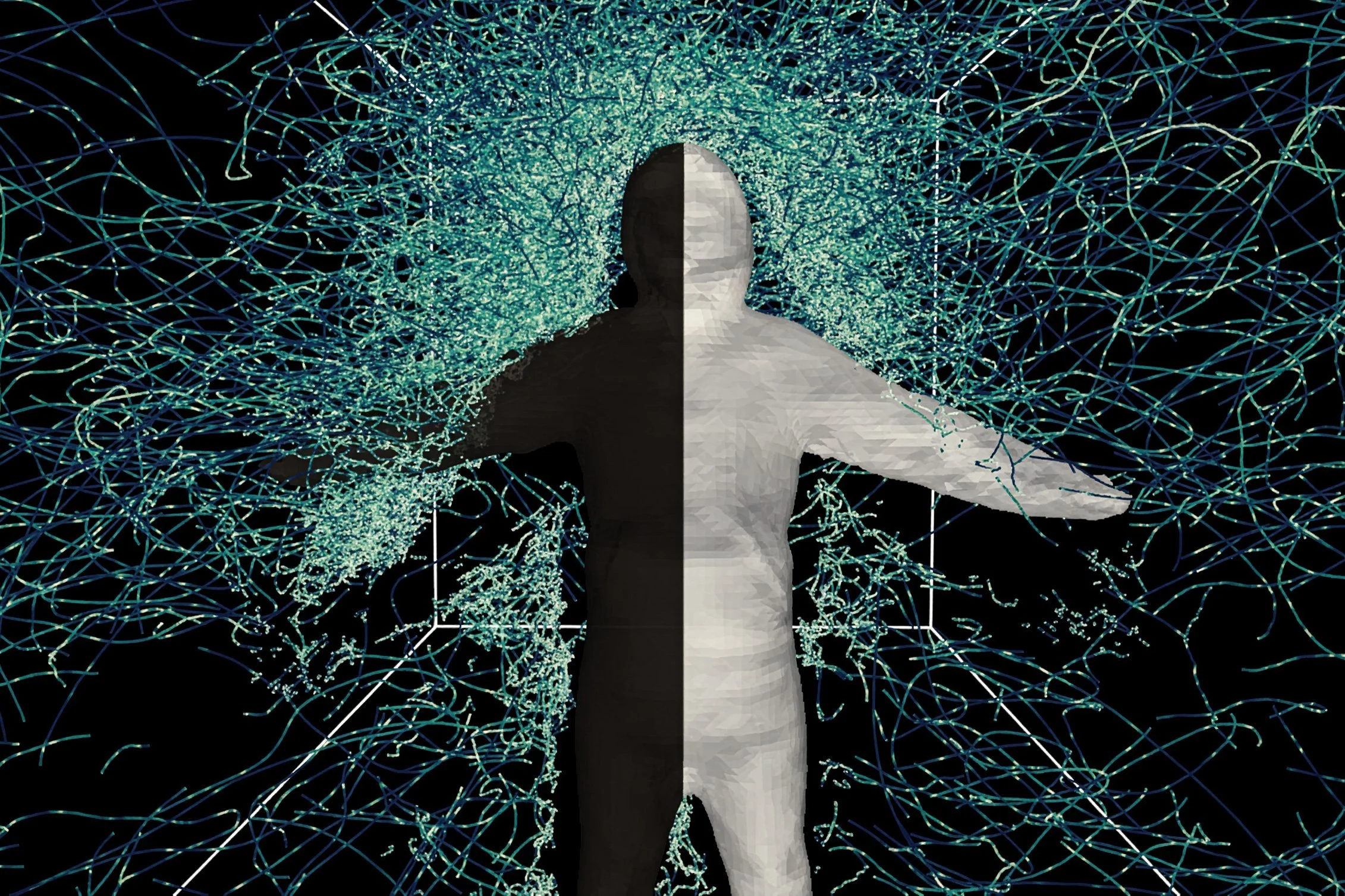 Los investigadores del MIT analizaron cómo se comportaban los mosquitos alrededor de un voluntario con ropa protectora mitad negra y mitad blanca, para estudiar su respuesta a estímulos visuales.