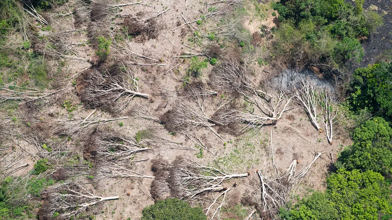 Mientras el norte del Amazonas registra un leve aumento de las lluvias, a pesar de la tala de árboles —arriba— el sur —como esta zona deforestada de Brasil, Bolivia y Perú— pierde precipitaciones de forma sostenida.