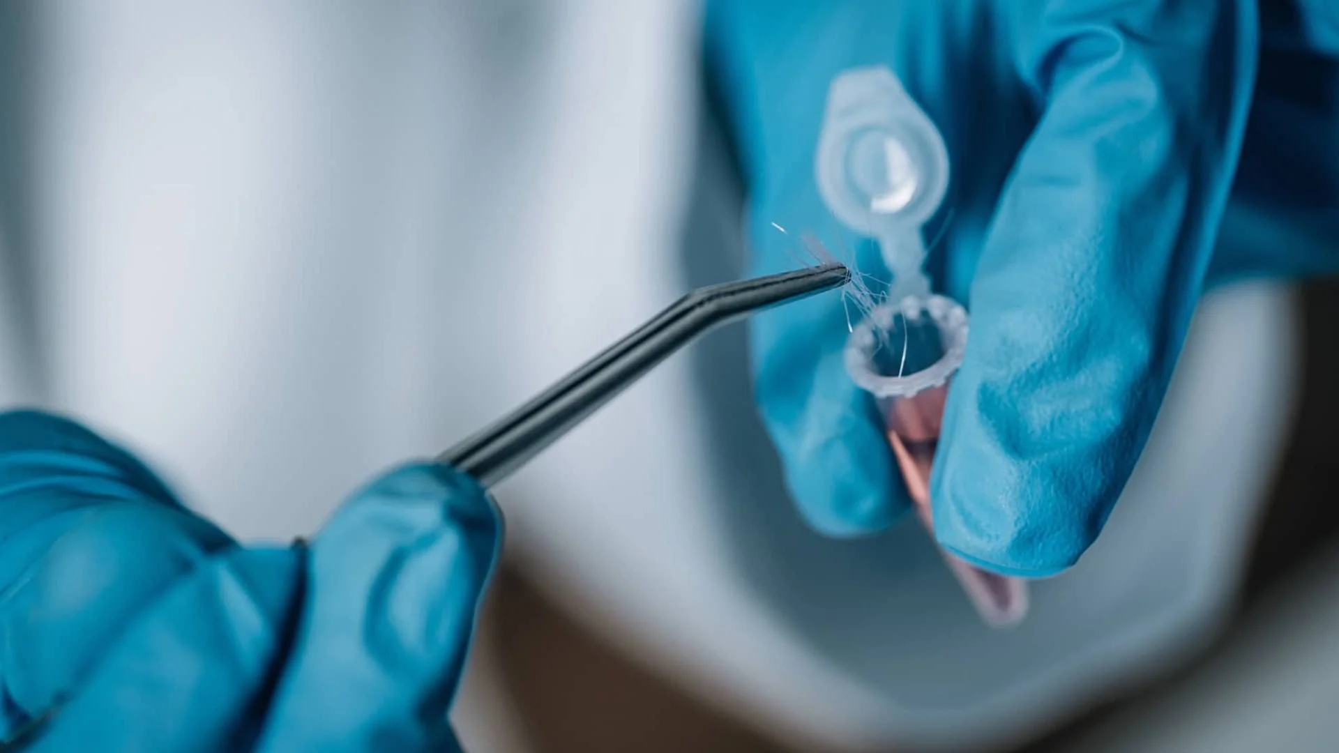 Primer plano de una muestra de cabello manipulada con pinzas e introducida en un vial. Las proteínas estructurales del pelo pueden conservar información genética útil para la identificación humana incluso décadas después.