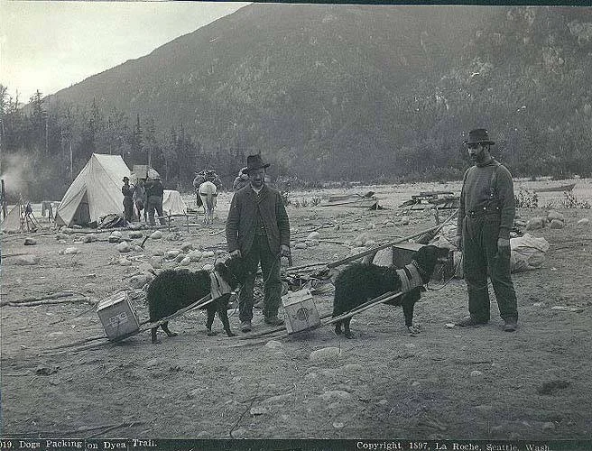 Dos hombres posan junto a perros equipados para transportar suministros por el sendero de Dyea.
