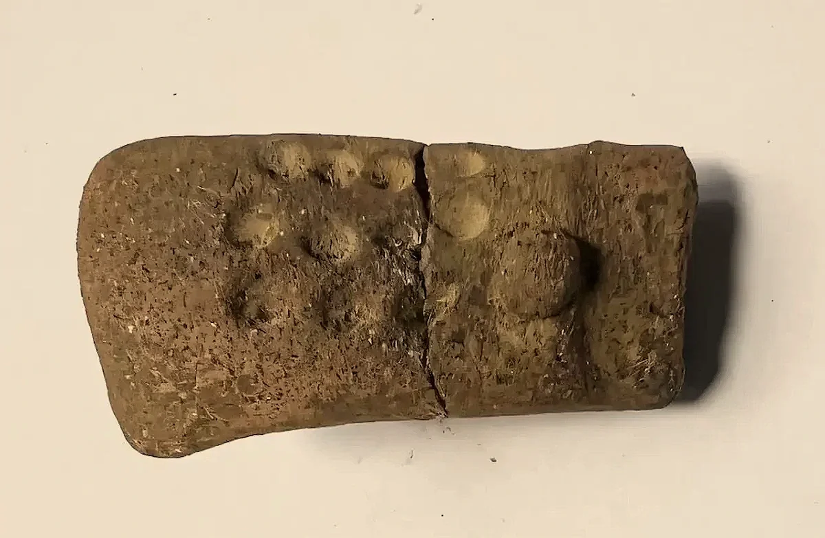 La figurilla de arcilla hallada en La Blanca (Guatemala) presenta once puntos grabados hace unos 2.700 años. Los investigadores creen que podrían constituir una de las evidencias más antiguas conocidas de numeración escrita en Mesoamérica.