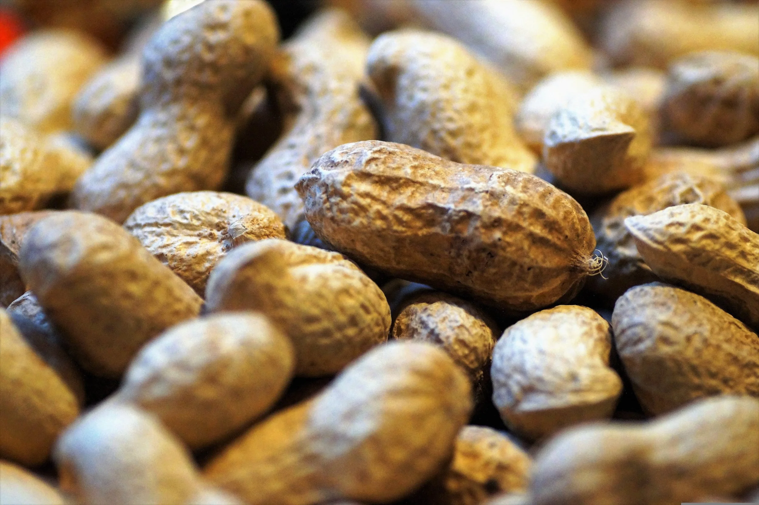 Los cacahuetes contienen algunos de los alérgenos alimentarios más potentes y son responsables de una de las alergias más frecuentes y persistentes en la infancia.
