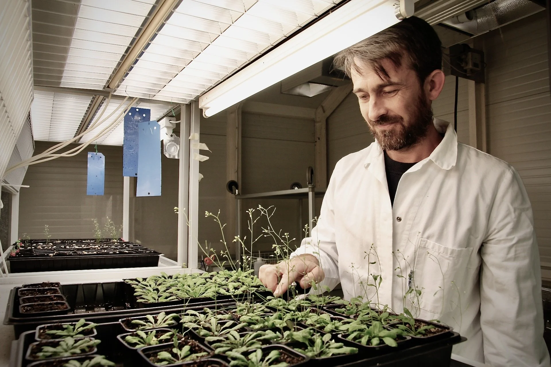 Olivier Van Aken, investigador de la Universidad de Lund y coautor del estudio que esclarece cómo las plantas transmiten la señal del tacto.