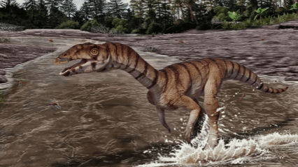 Reconstrucción animada en 3D de Labrujasuchus expectatus, un insólito reptil bípedo emparentado con los cocodrilos que habitó los paisajes fluviales del Triásico.