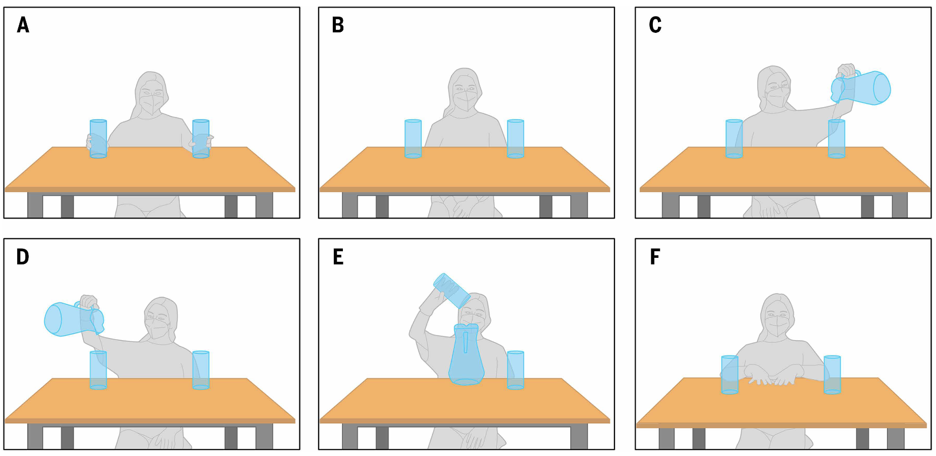 Secuencia del experimento 1: los investigadores simulan verter y retirar zumo inexistente entre dos tazas vacías antes de preguntar a Kanzi dónde está; el bonobo debía señalar el recipiente que contenía el líquido imaginario.