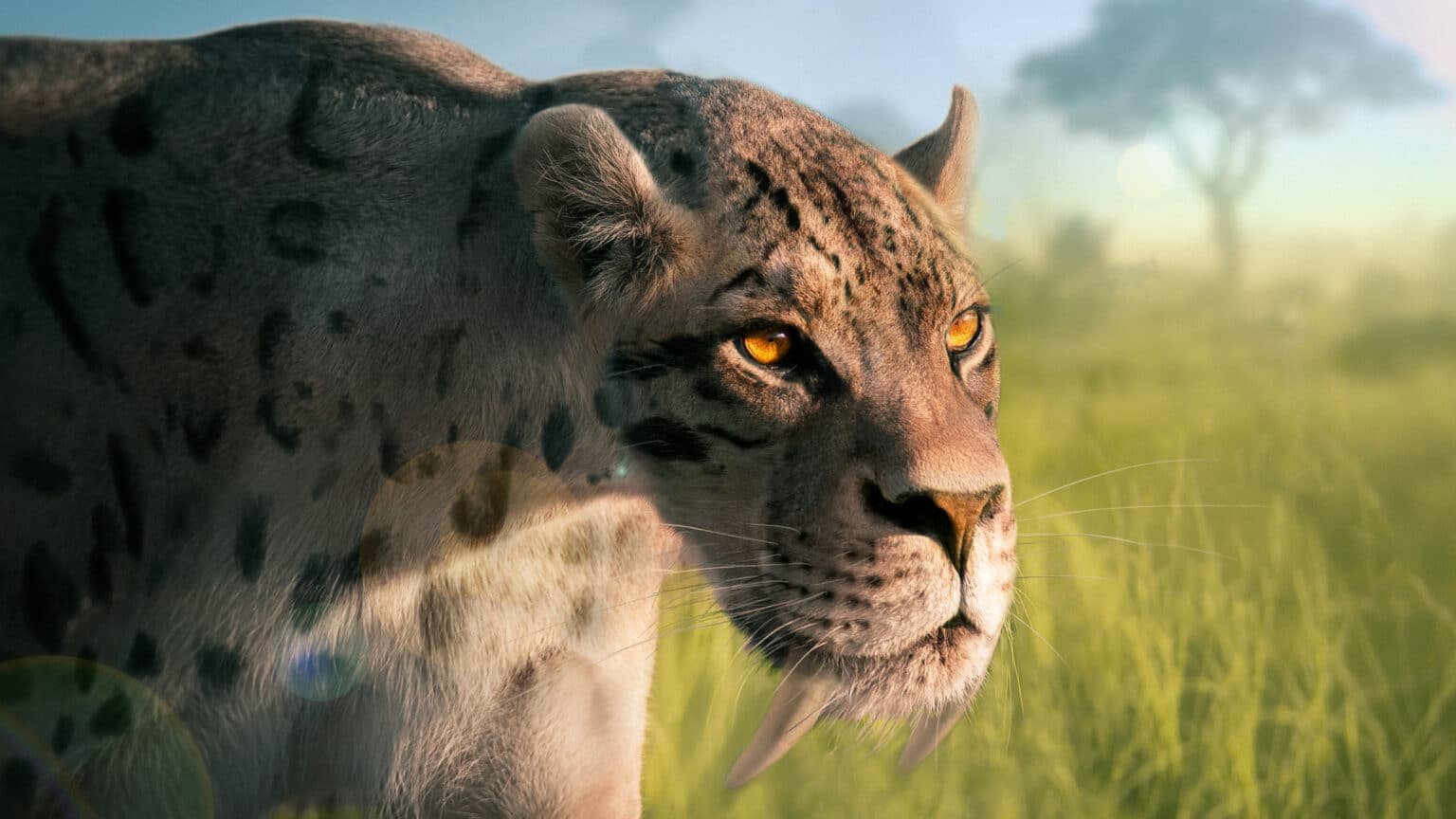 Did Sabertooth Tigers Purr or Roar?