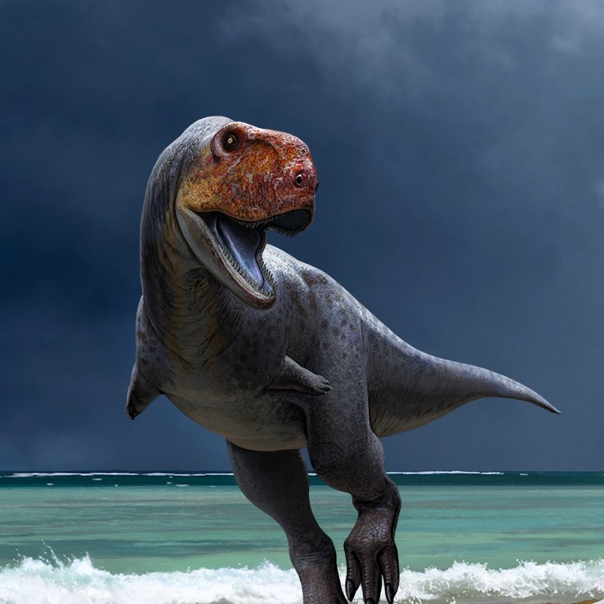 Fossils of “primitive cousins of T. rex” shed light on the end of the age of dinosaurs in Africa