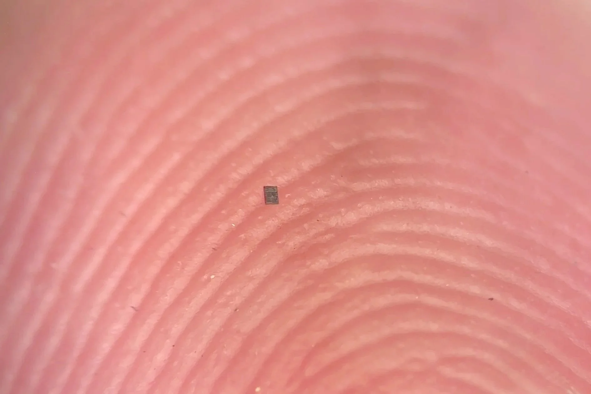 Robots microscópicos inteligentes: así son las máquinas invisibles que ya perciben, piensan y actúan