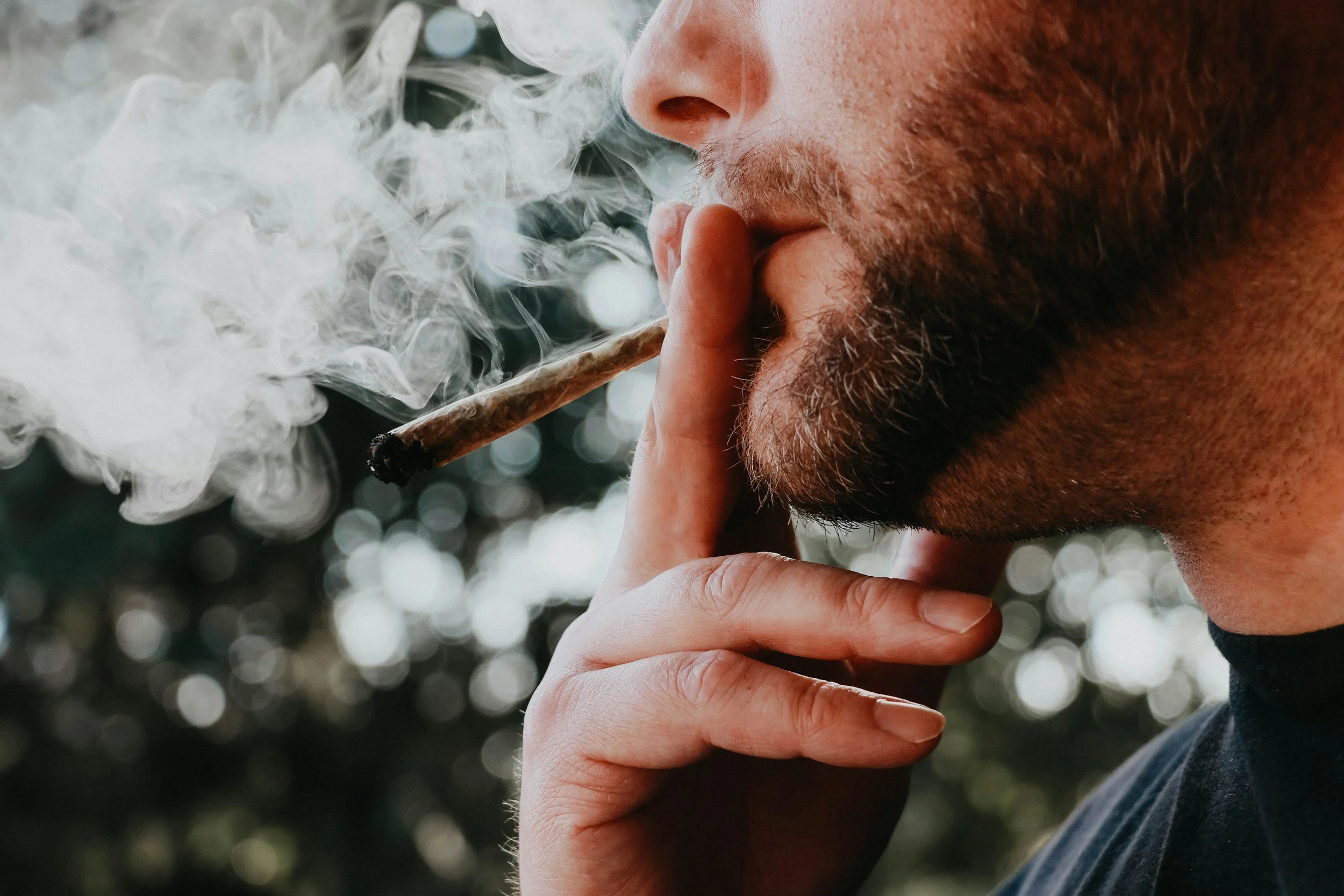 Un ensayo clínico controlado demuestra por primera vez que el THC reduce de forma inmediata la cantidad de alcohol consumida por grandes bebedores, aunque sin eliminar el deseo de beber.