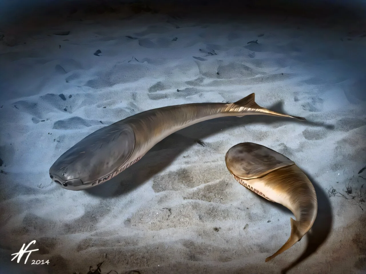 La «era de los peces» comenzó con una extinción masiva: así cambió la evolución de los vertebrados