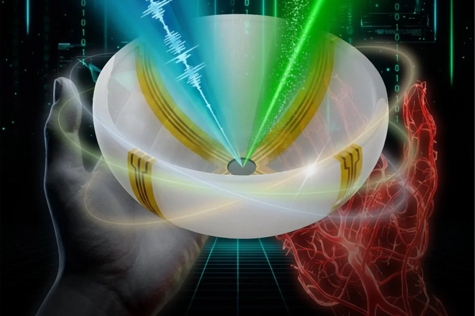 Una nueva técnica de imagen médica combina ultrasonido y fotoacústica para obtener imágenes 3D en color del cuerpo humano