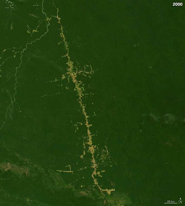 La deforestación está secando la Amazonia más rápido de lo previsto, según un estudio científico