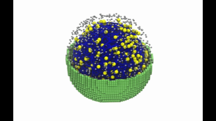 Simulan por primera vez una célula viva completa en un ordenador
