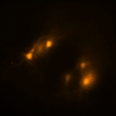 Cómo se forman los recuerdos: nuestro cerebro no parte de cero, se reorganiza desde que nacemos