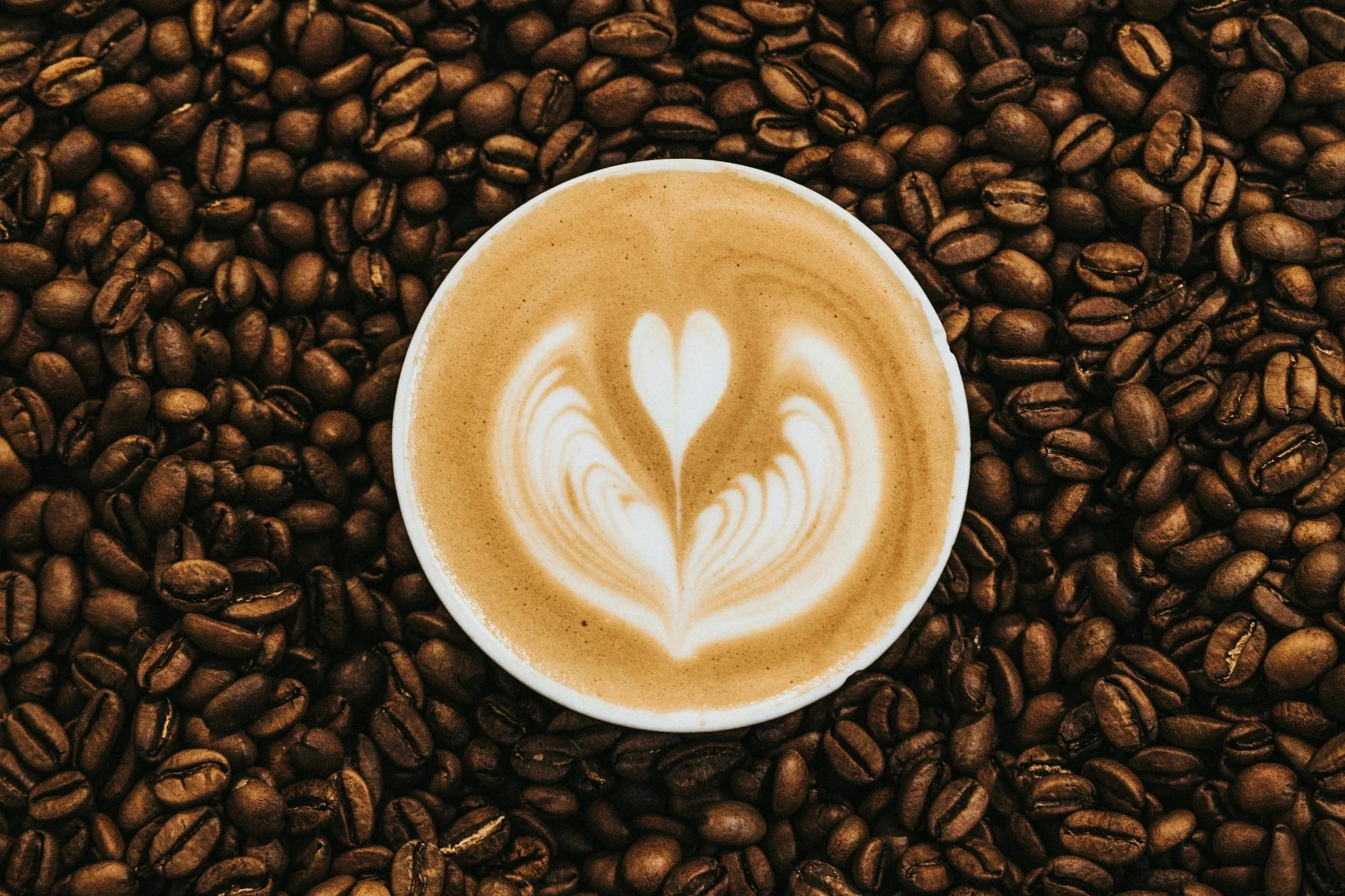 Café y salud: la vía biológica que explica por qué puede alargar la vida
