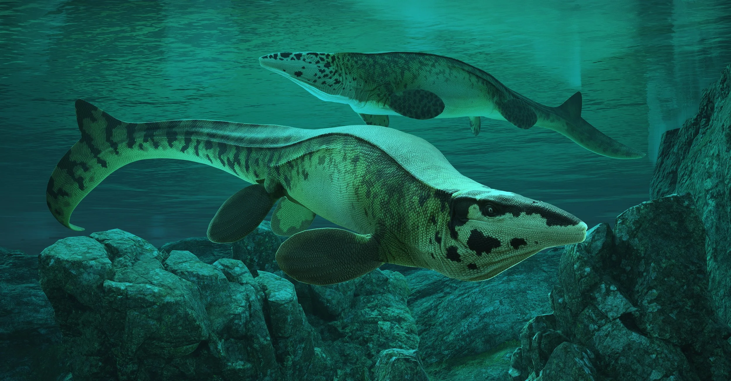 Descubren el «T. rex» de los océanos: así era el gigantesco mosasaurio que dominó los mares hace 80 millones de años