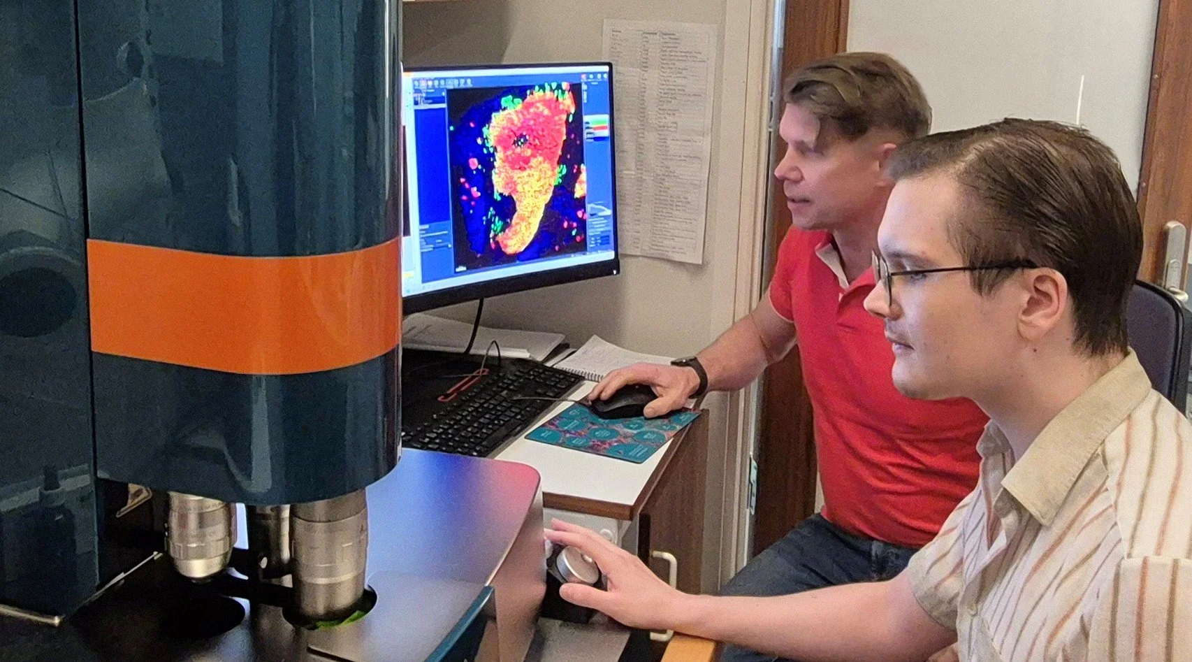 Un mapa 3D completo del páncreas revela células de insulina supervivientes en la diabetes de tipo 1
