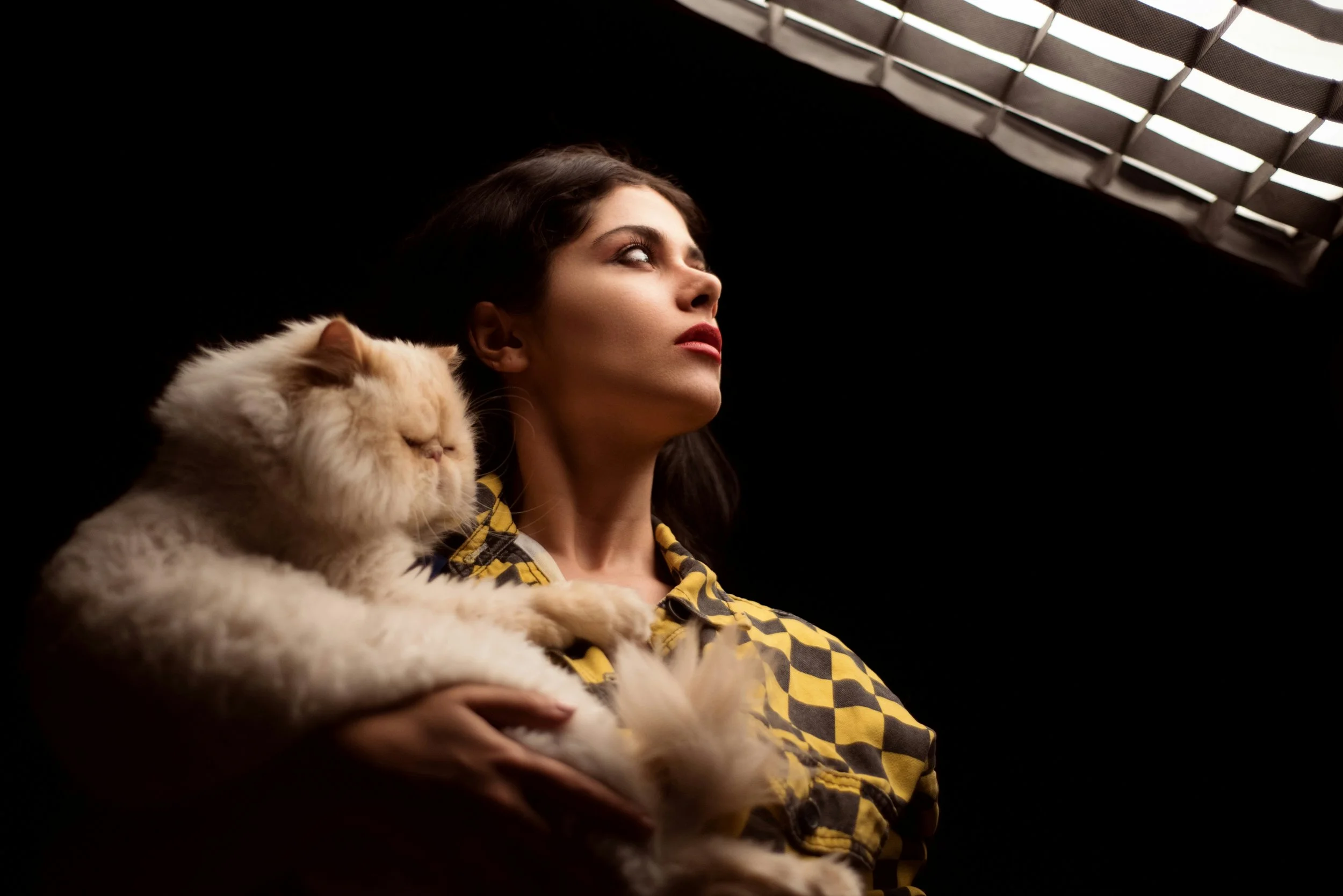 ¿Acariciar a tu gato cuando estás estresado puede hacerte sentir peor? Un estudio sorprende a los científicos