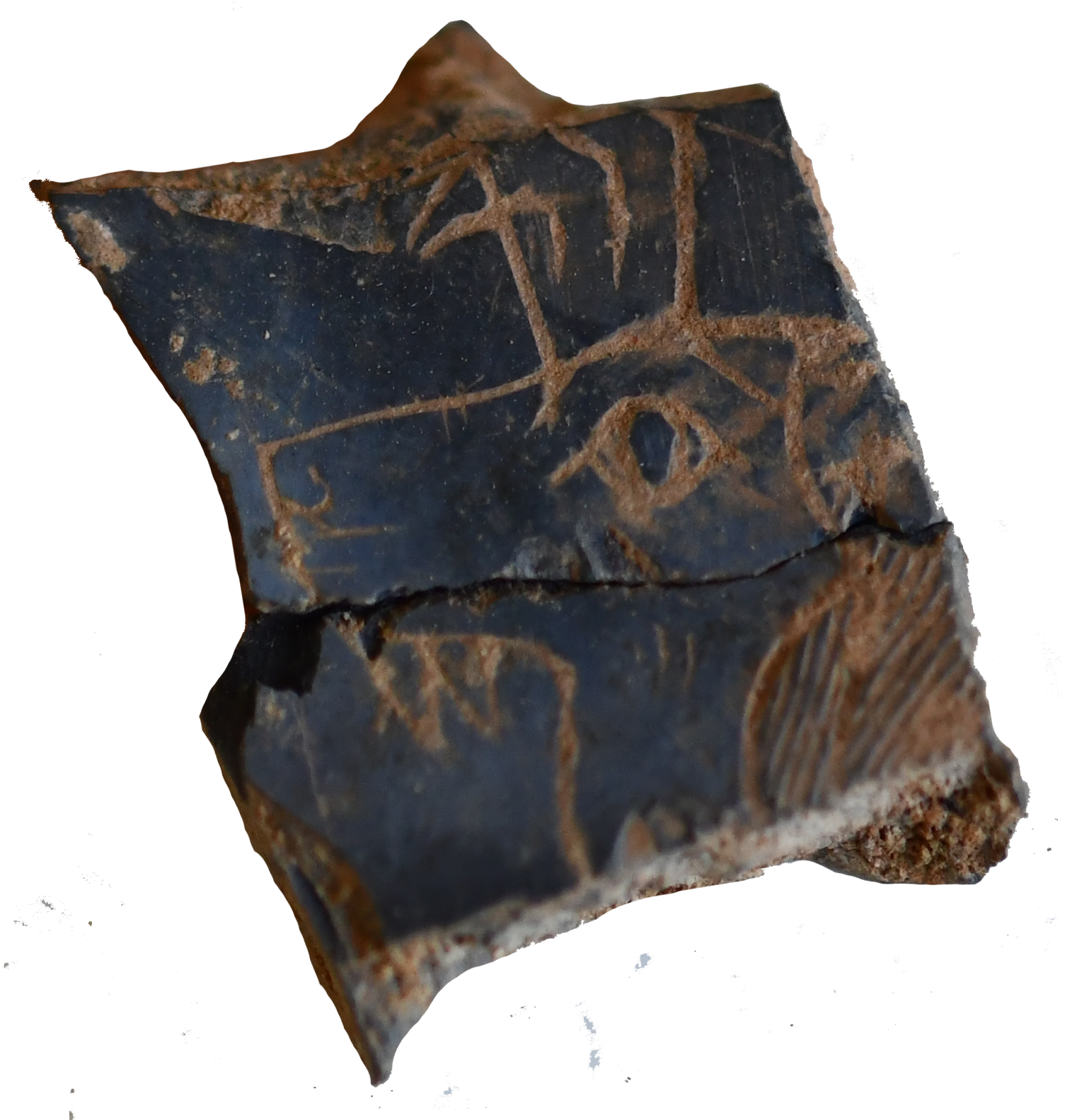 Marfiles.png