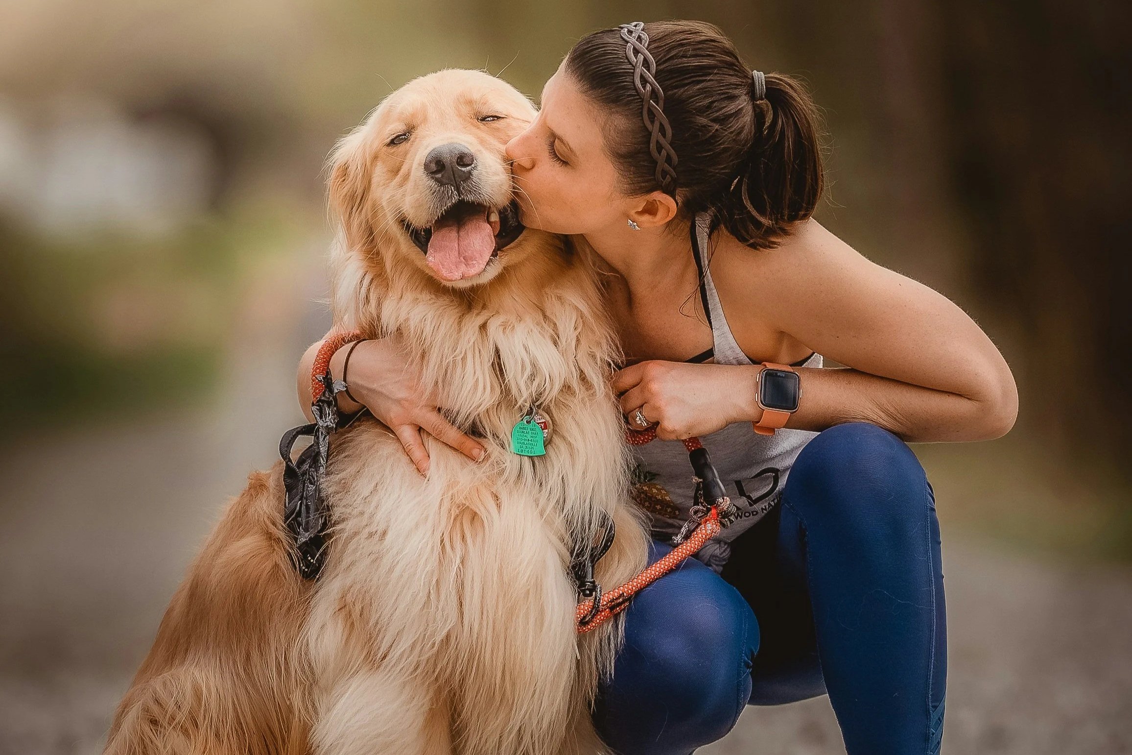 Cómo evolucionaron los perros junto a los humanos: 15.000 años adaptándose a nuestras formas de vida
