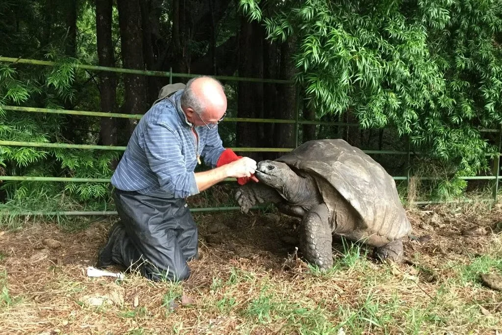 Jonathan, la tortuga de 194 años que atesora pistas sorprendetes sobre la longevidad