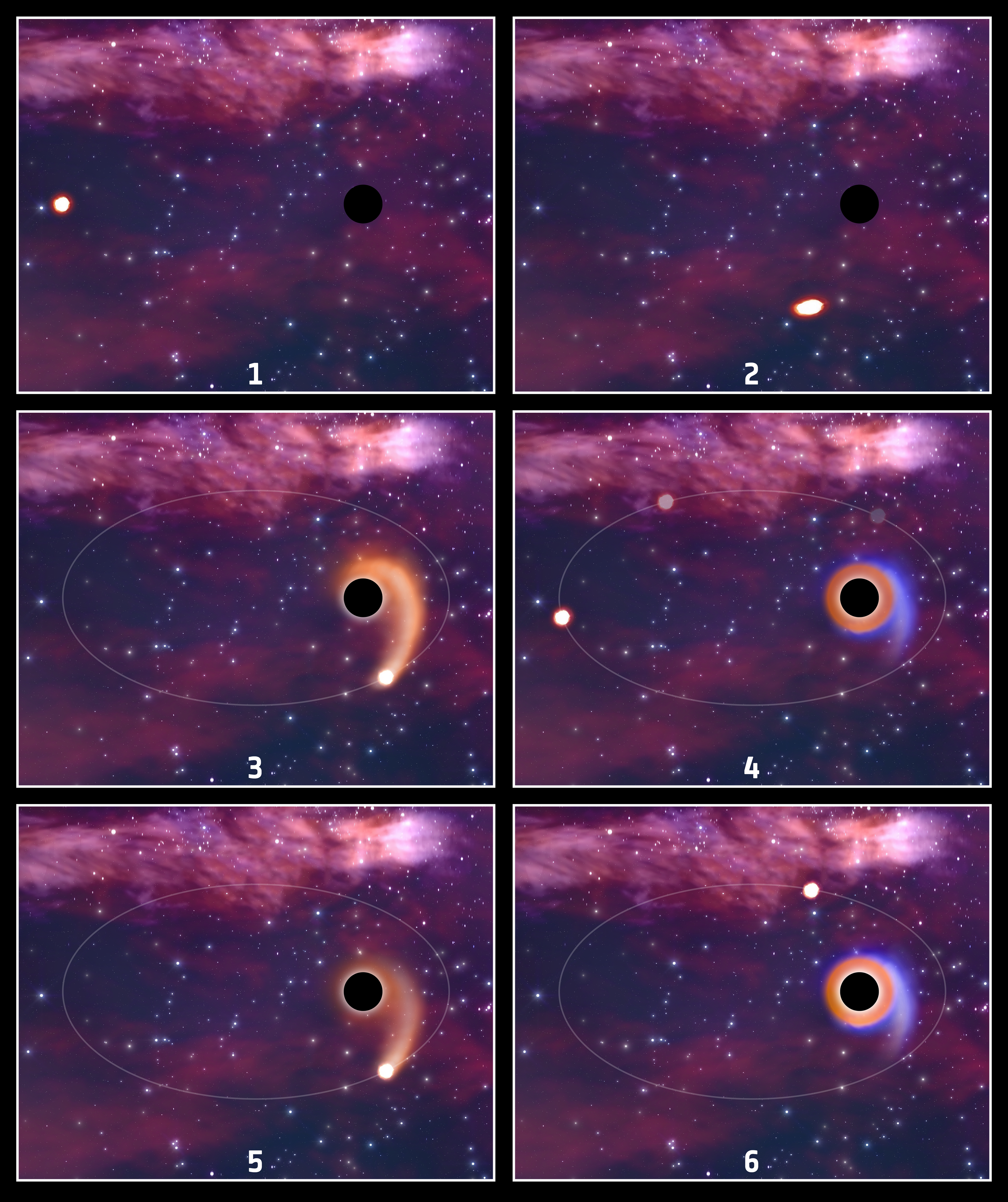 Secuencia artística que ilustra cómo un agujero negro desgarra una estrella al acercarse demasiado y forma un disco de acreción con el gas capturado.