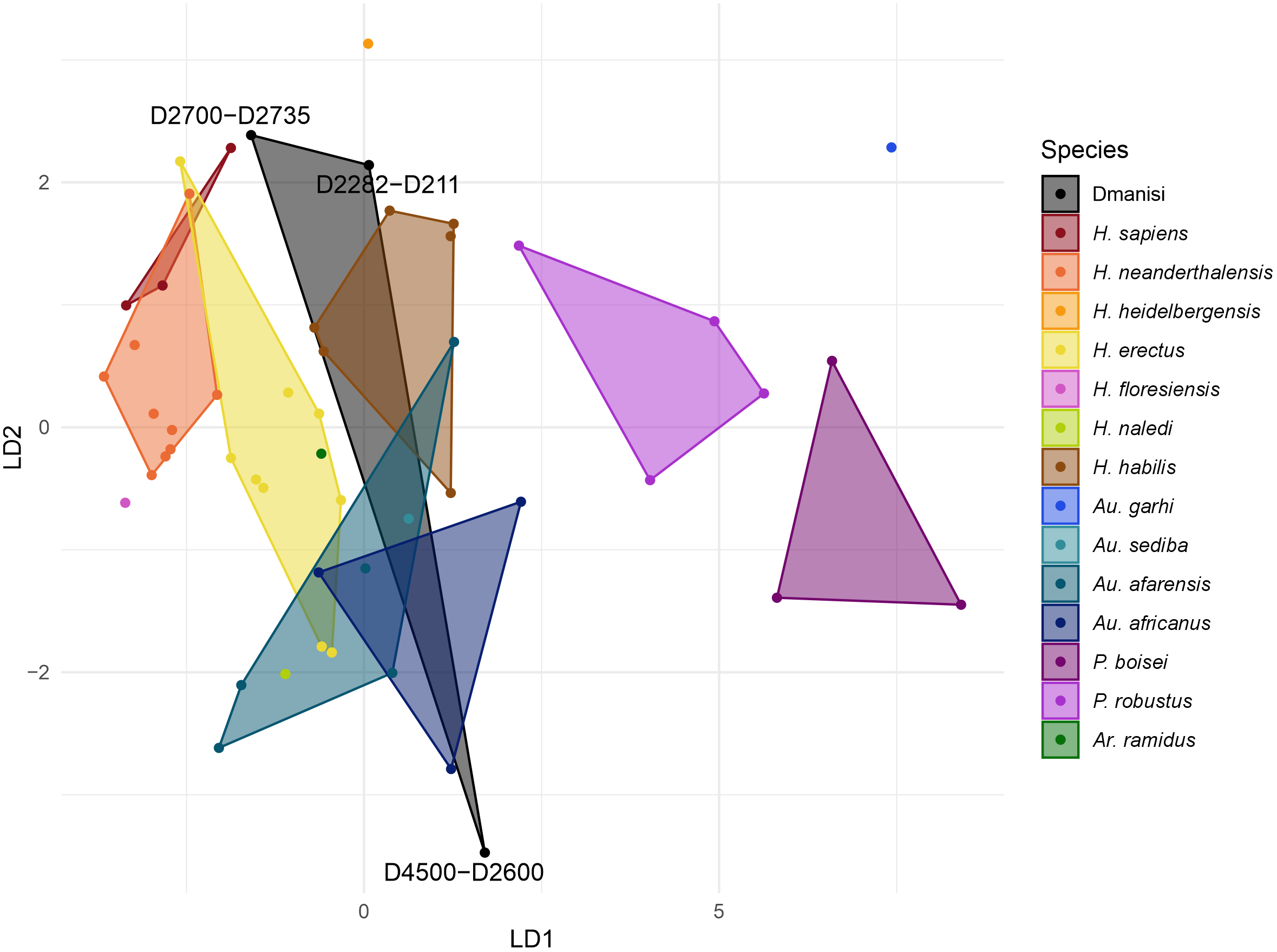 Afinidades morfológicas de los homininos de Dmanisi en comparación con otras especies humanas, según las dos primeras funciones discriminantes calculadas a partir del área de las coronas de los dientes superiores.