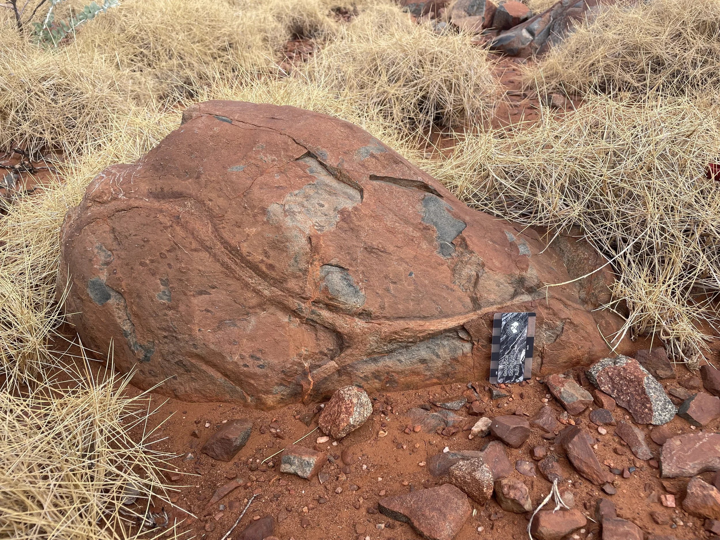 Estas lavas almohadilladas (pillow lavas) del grupo Whundo, en el cratón de Pilbara, conservan unas estructuras oscuras llamadas variolas, que se forman cuando un magma rico en agua se enfría rápidamente.