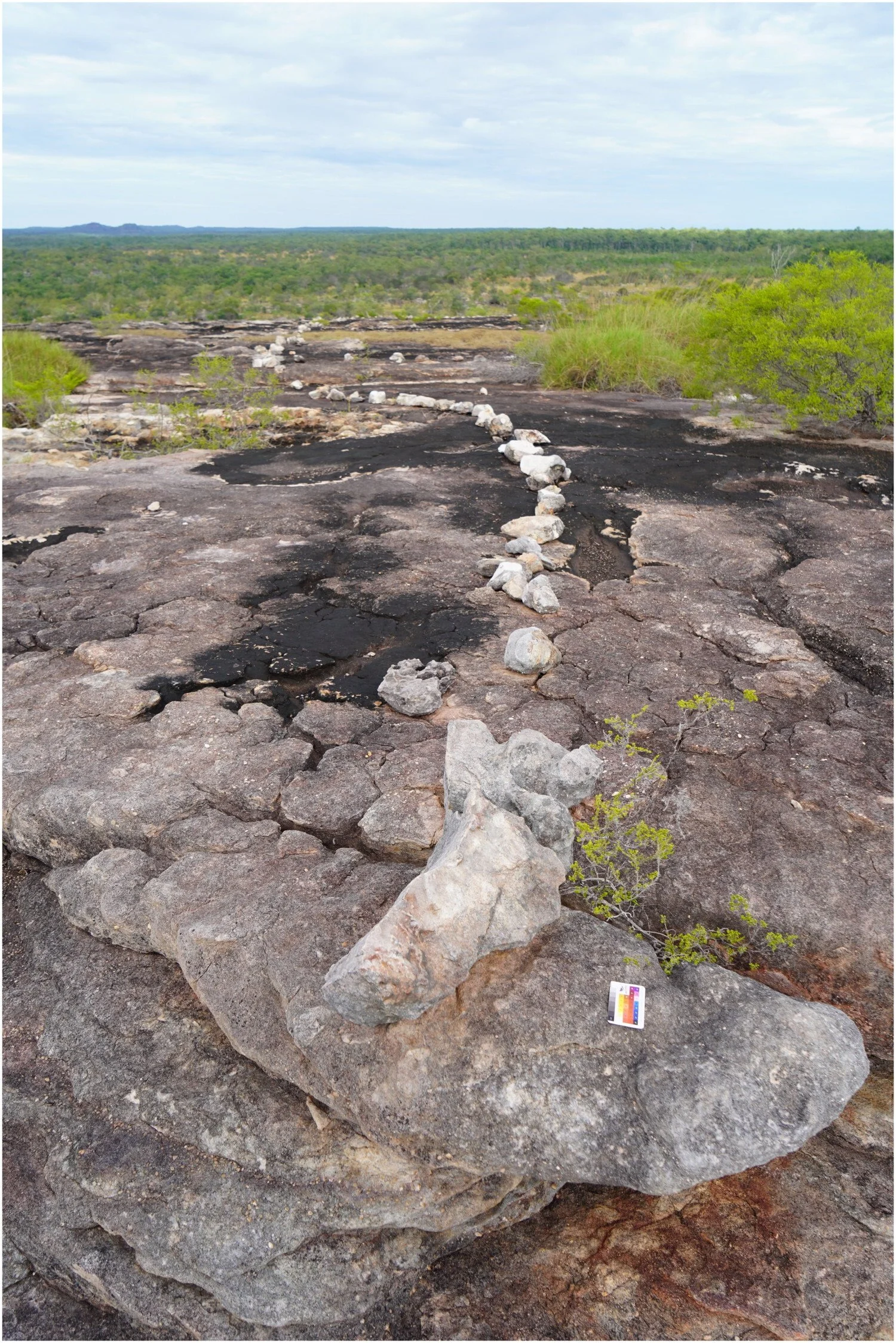 Cabeza y cuello de la gigantesca serpiente arcoíris de Awunbarna, construida con piedras colocadas deliberadamente sobre el terreno.