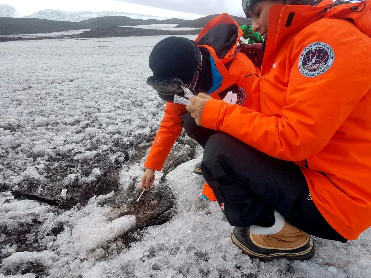 Las investigadoras argentinas Mariela Torres y Nathalie Bernard toman muestras de suelo antártico para estudiar microorganismos autóctonos capaces de degradar la contaminación por combustibles y, potencialmente, por plásticos.