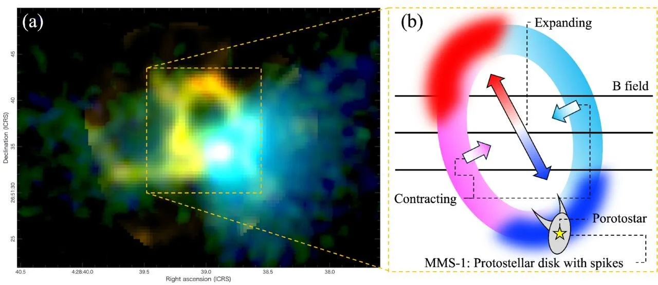 Imagen compuesta que combina observaciones espaciales y un esquema explicativo: a la izquierda, el gas caliente alrededor de una protoestrella visto por el ALMA; a la derecha, una interpretación que muestra un anillo en movimiento.