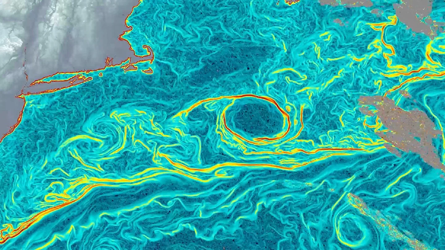 La corriente del Golfo aparece como un entramado de finas estructuras de gradiente térmico que delatan la compleja dinámica de las corrientes oceánicas subyacentes.