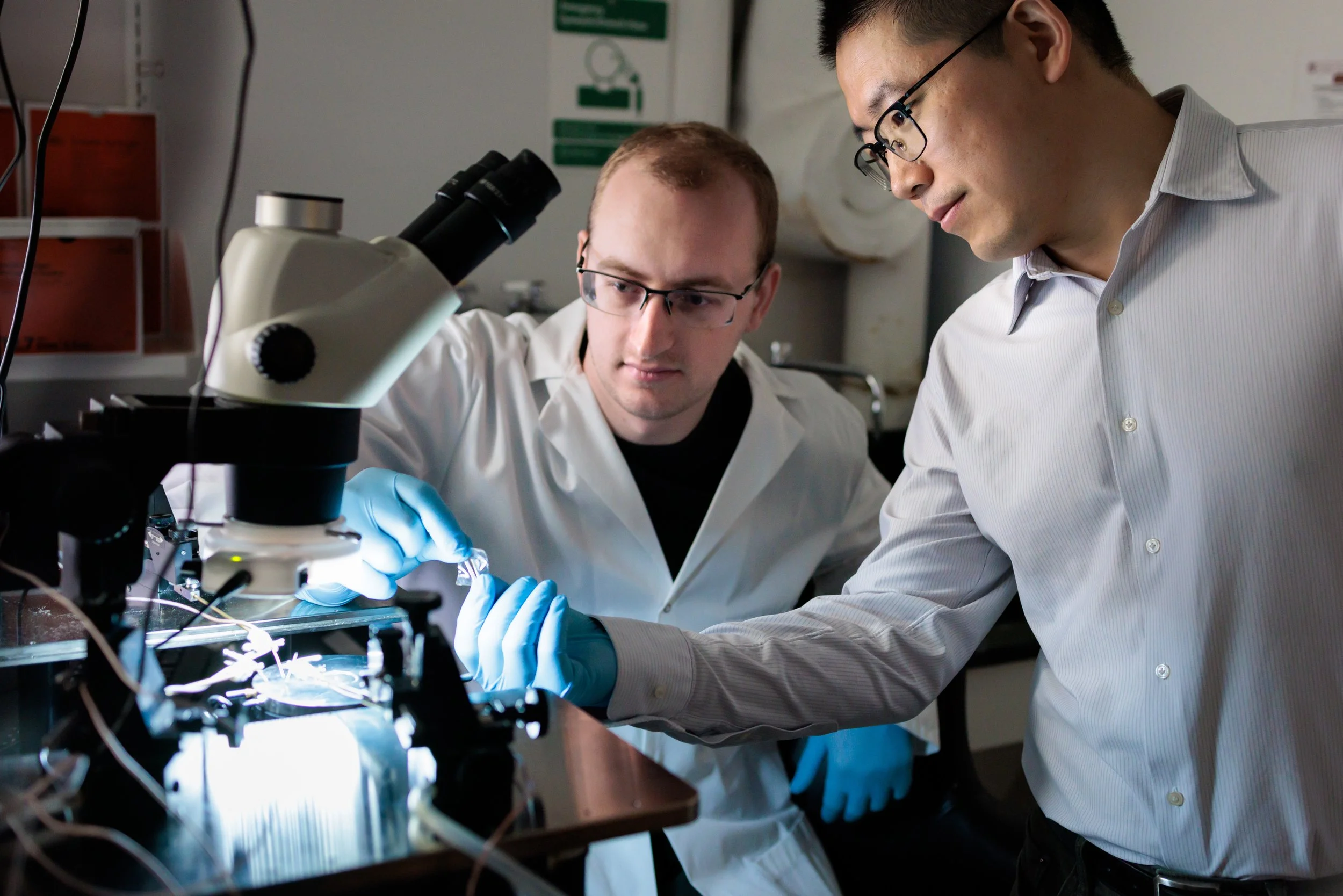 El profesor Sihong Wang (derecha), de la Universidad de Chicago, y el doctorando Max Weires examinan una muestra del nuevo parche flexible con inteligencia artificial desarrollado para analizar señales biomédicas directamente sobre el cuerpo.