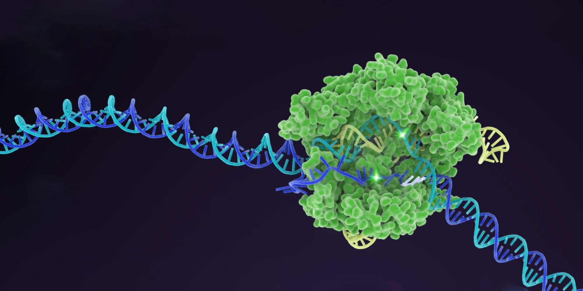 Ilustración de la herramienta de edición genética CRISPR-Cas9, una tecnología capaz de modificar fragmentos concretos de ADN y que está revolucionando la investigación biomédica y las terapias contra el cáncer.