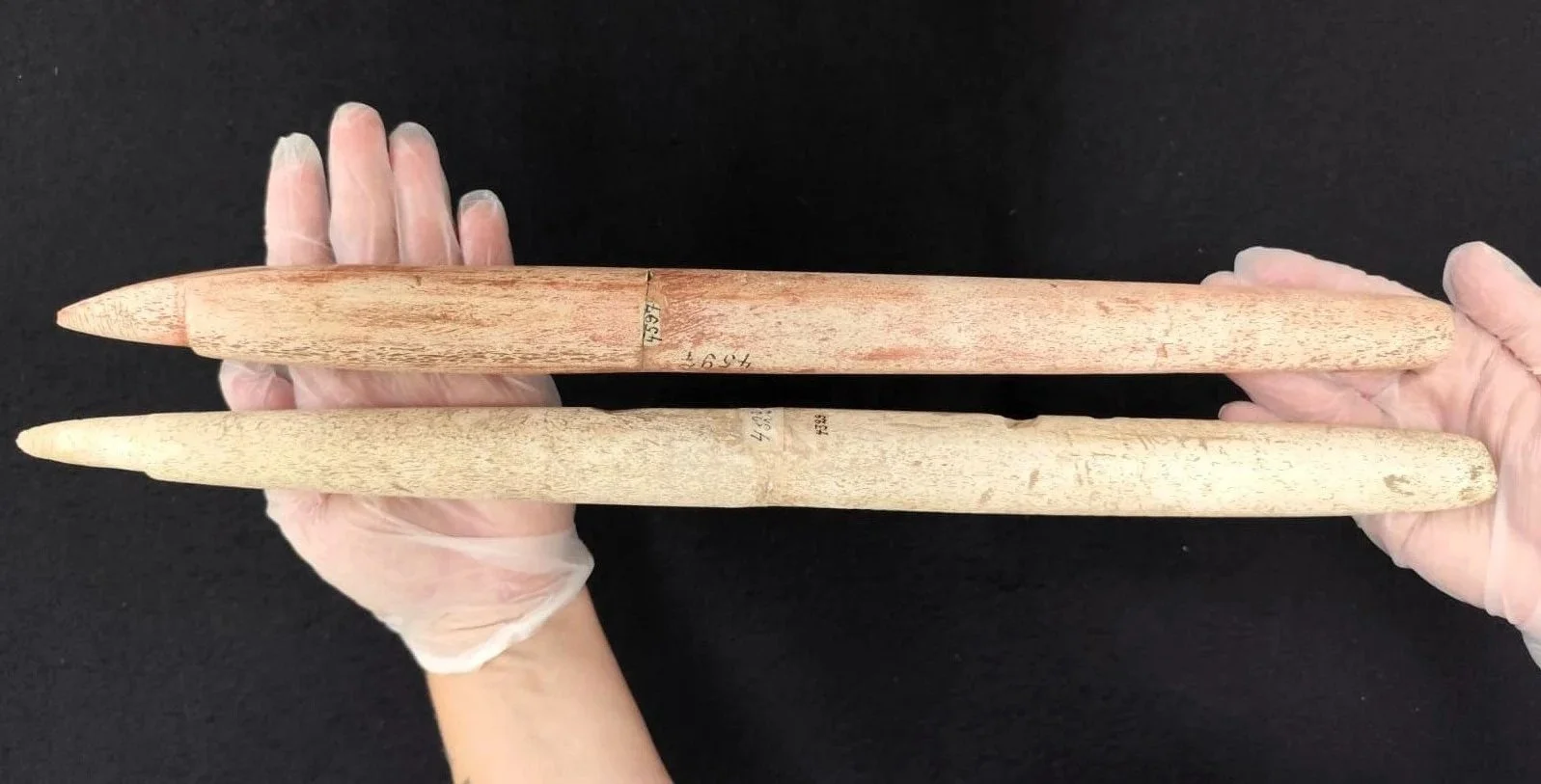 Astiles de arpón hallados en un enterramiento humano en el yacimiento de Morro do Ouro.