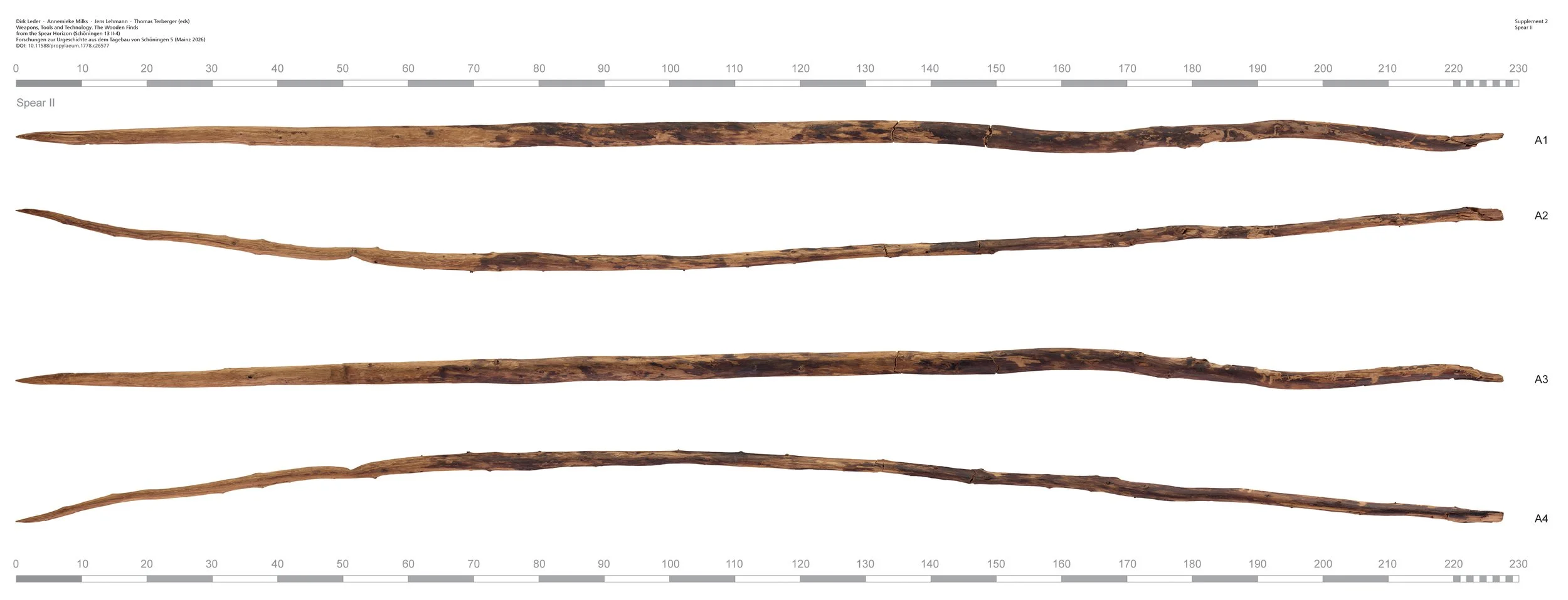 El arma de madera habría sido similar a las lanzas arrojadizas, de tipo jabalina, descubiertas en 1995 en Schöningen, Baja Sajonia (Alemania), con una antigüedad de entre 200.000 y 300.000 años.