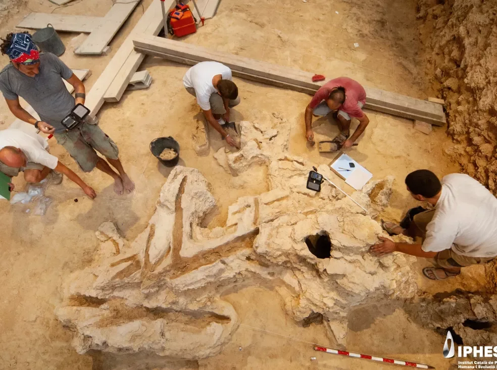Dibujo y registro del objeto de madera durante su excavación en el Abric Romaní.
