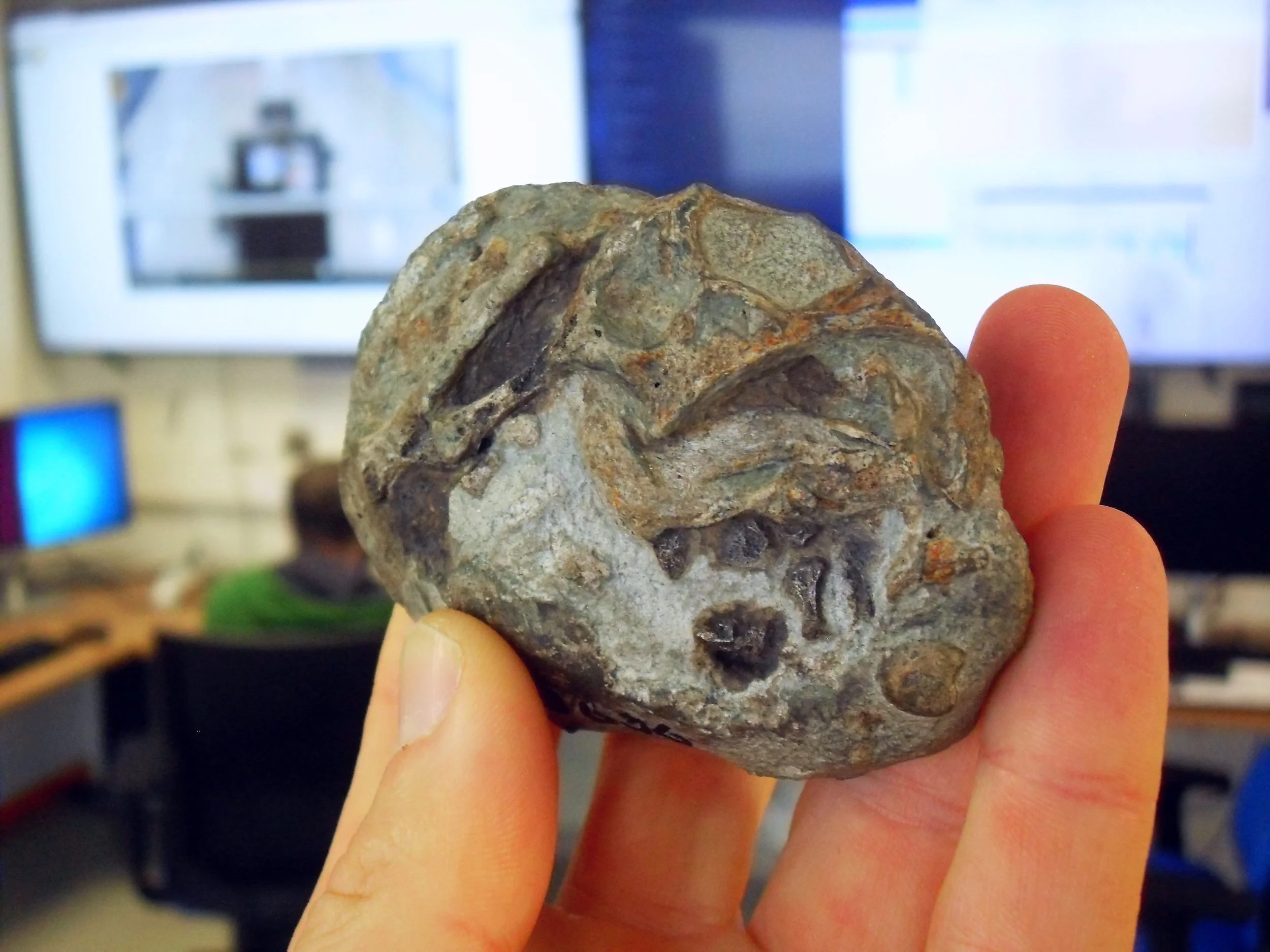 Fósil del huevo con embrión de Lystrosaurus, fotografiado en la sala de control del Sincrotrón Europeo (ESRF) en Francia, donde fue analizado con técnicas avanzadas de imagen.
