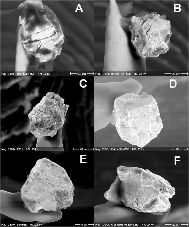 Imágenes de microscopía electrónica de barrido (SEM) de las seis partículas radiactivas de Chernóbil analizadas en el estudio.