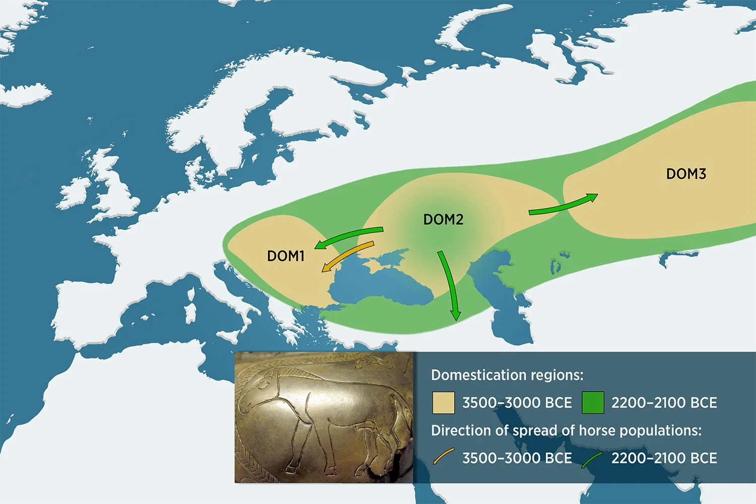 Mapa de la expansión de las tres grandes poblaciones de caballos identificadas por los investigadores —DOM1, DOM2 y DOM3— entre el 3500 y el 2100 a. C.