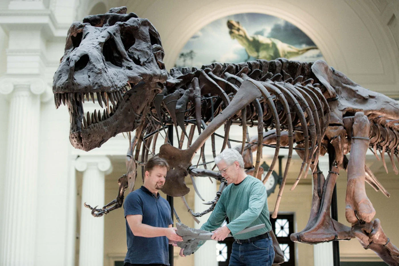 Sue, uno de los Tyrannosaurus rex más famosos y mejor conservados del mundo, ha sido clave para comprender la biología de este gigantesco depredador.