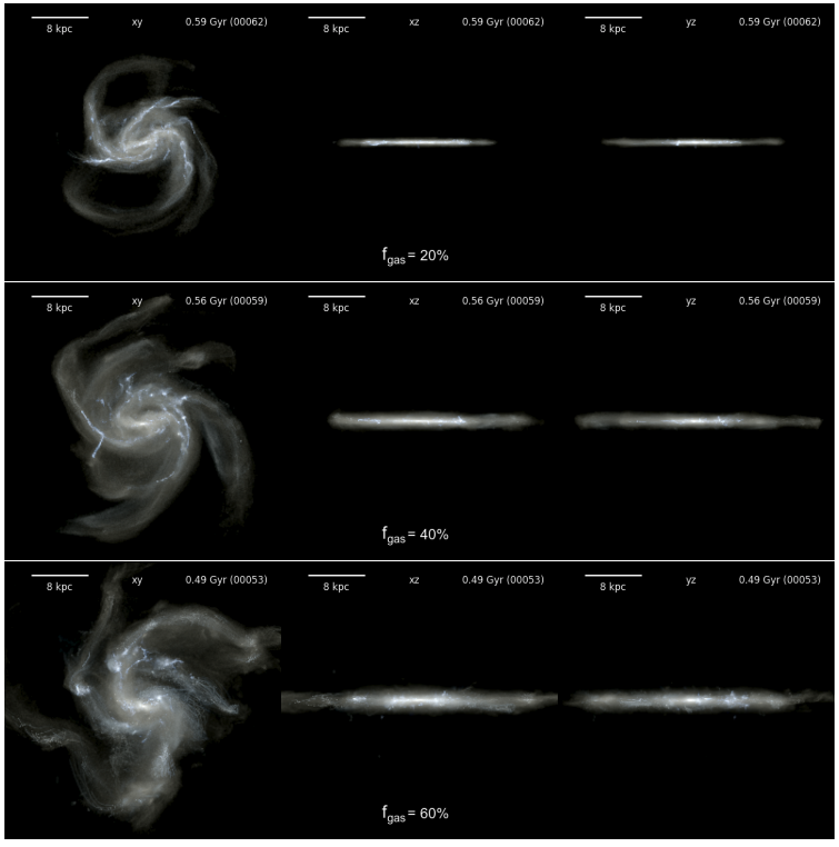 Simulaciones por ordenador de galaxias primitivas con distintas proporciones de gas (20 %, 40 % y 60 %).