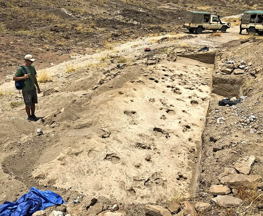 Vista general del yacimiento GaJi10, en el norte de Kenia, donde se conservan huellas fosilizadas de Paranthropus boisei junto a rastros de hipopótamos, antílopes y otros animales.