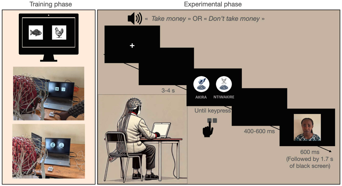 Representación gráfica del experimento llevado a cabo por neurocientíficos de las universidades de Ruanda y Gante que analiza los cerebros de perpetradores del genocidio ruandés, de personas que salvaron vidas y de testigos pasivos.