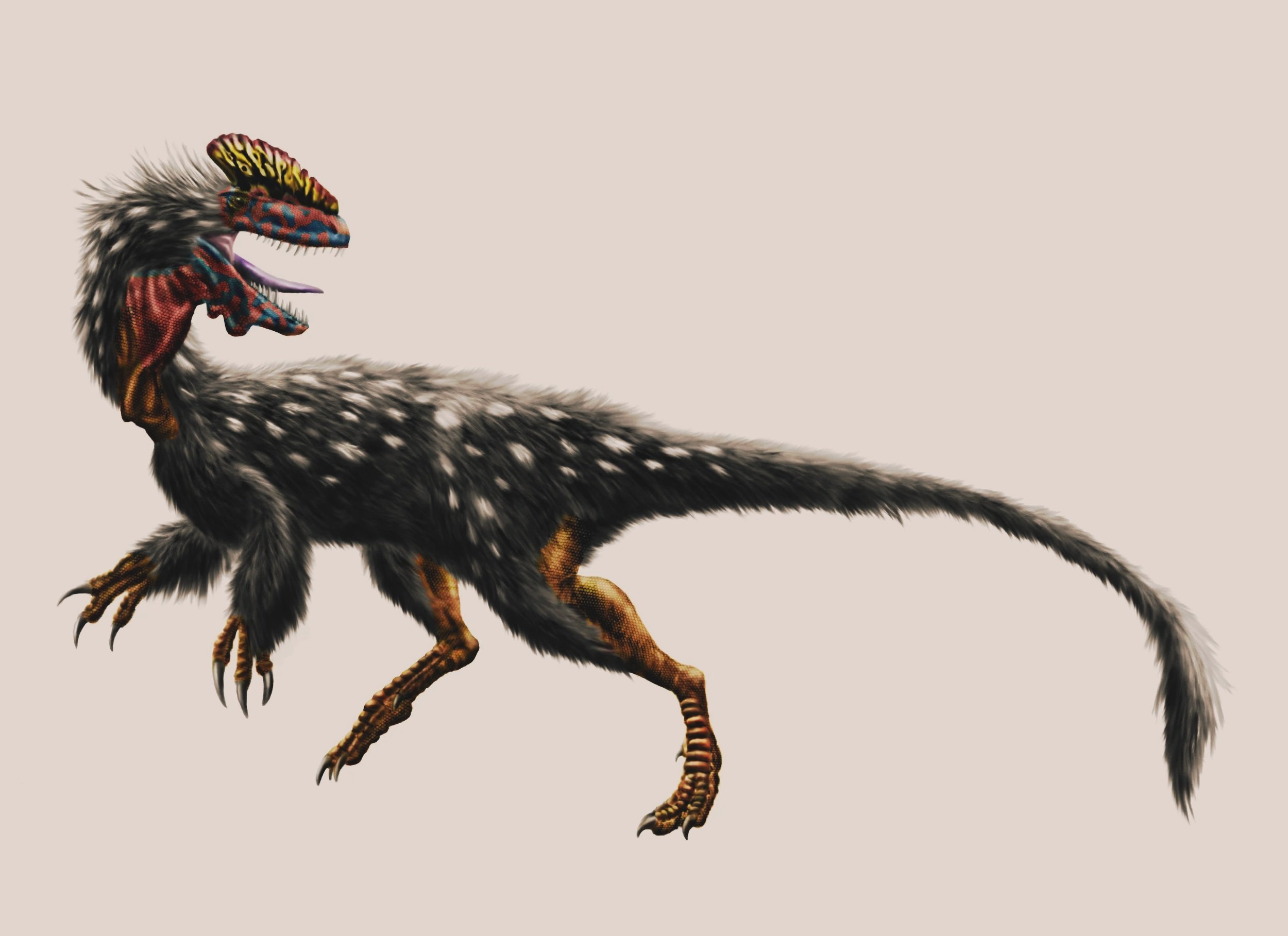 Reconstrucción artística del Guanlong wucaii, un pequeño tiranosauroideo emplumado del Jurásico Superior de China, hace unos 160 millones de años.
