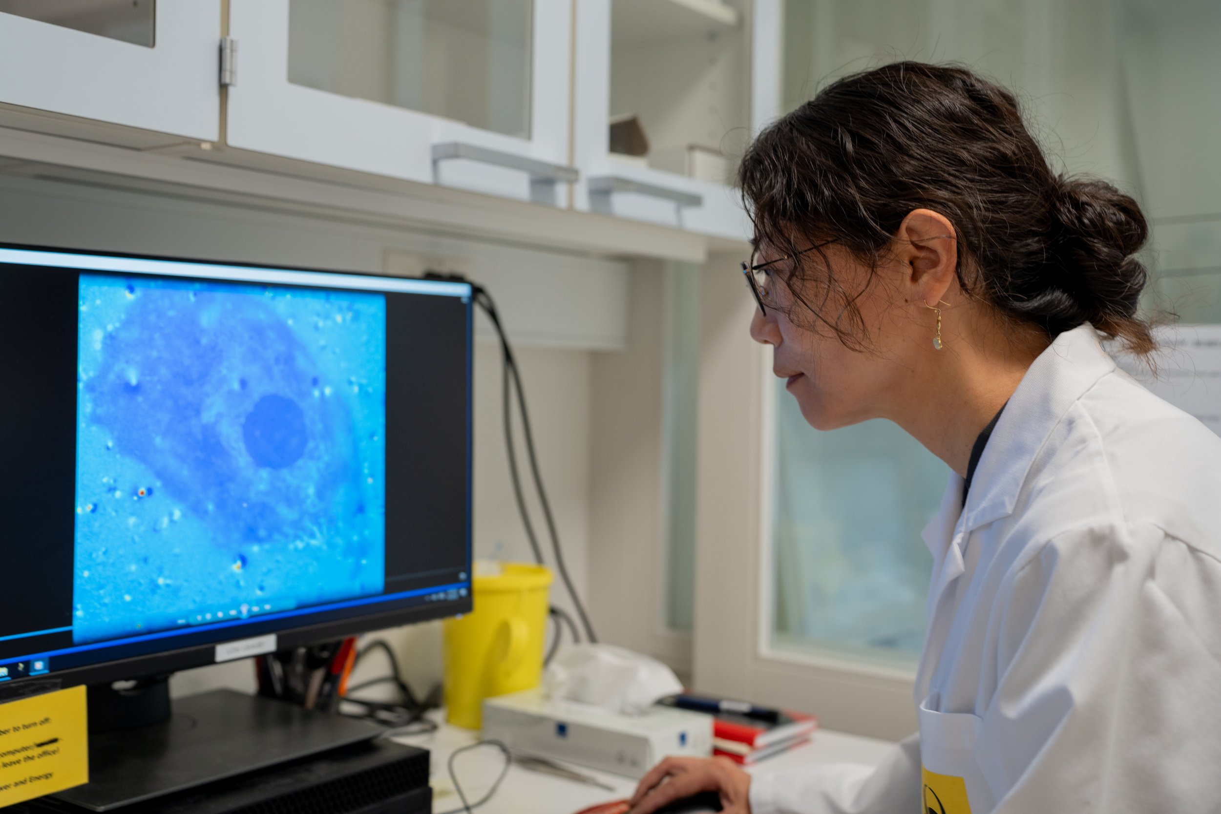 Menglin Chen estudia cómo las nanopartículas sensibles a la luz activan las células.
