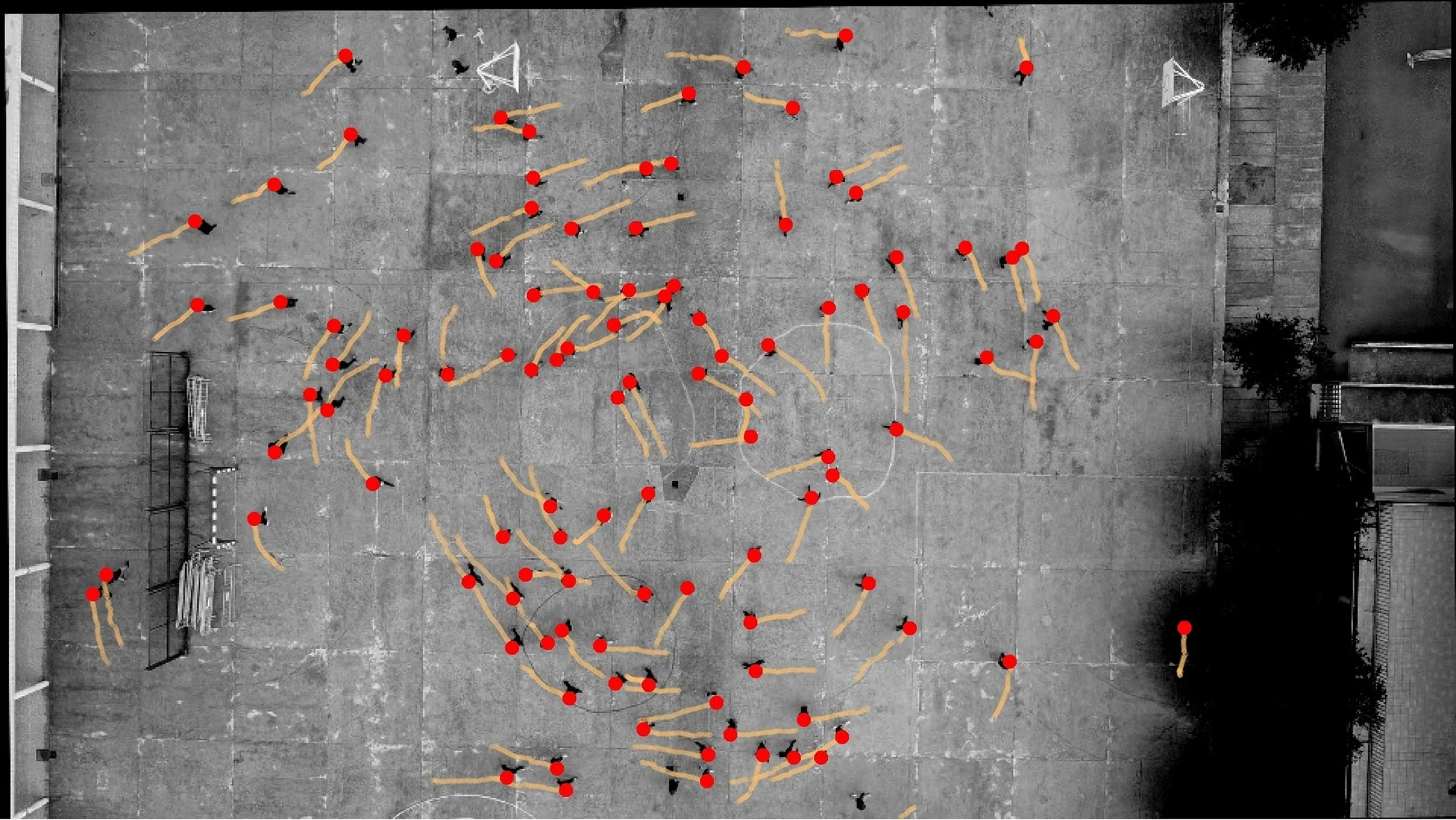 Vista cenital del patio escolar donde se desarrolló uno de los experimentos en España. Los puntos rojos indican la posición de los adolescentes participantes y las líneas muestran sus trayectorias de movimiento.