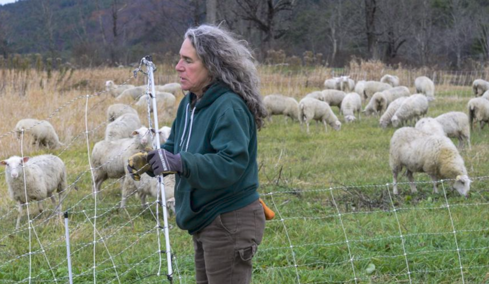 Ruthann Rudel, directora de investigación del Silent Spring Institute y coautora del estudio, defiende evaluar la exposición a la formulación completa de los plaguicidas, incluidos sus ingredientes «inertes».
